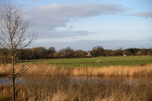 de poort van drenthe in coevorden (26)