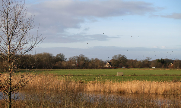 de poort van drenthe in coevorden (27)