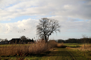 de poort van drenthe in coevorden (33)