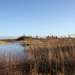 de poort van drenthe in coevorden (35)