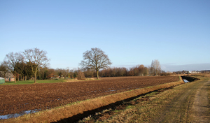 de poort van drenthe in coevorden (39)