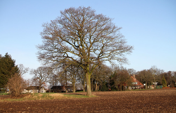 de poort van drenthe in coevorden (41)