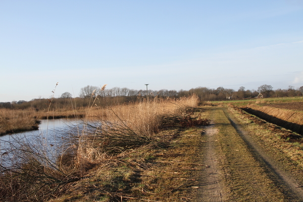 de poort van drenthe in coevorden (38)