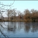 dwingelderveld17-vi