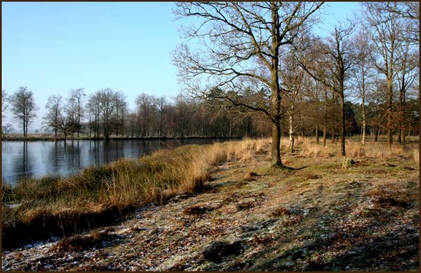 dwingelderveld19-vi