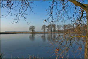 dwingelderveld23-vi