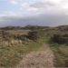 duinen-2