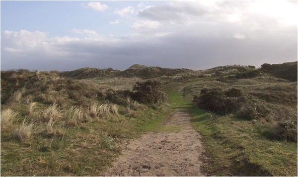 duinen-2