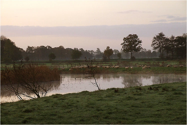 2006_11100401