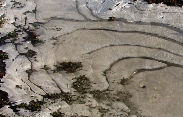 structuur in de natuur1 (29)