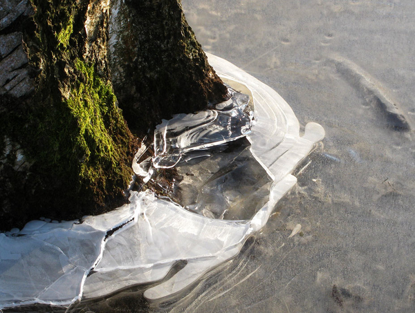 structuur in de natuur1 (30)