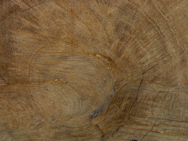 structuur in de natuur1 (33)