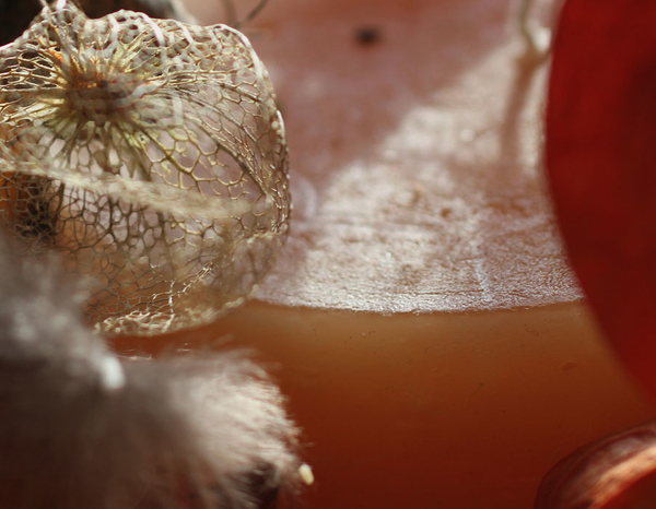 structuur in de natuur1 (36)