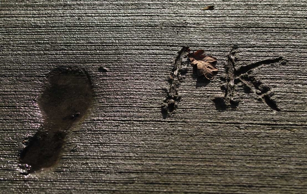 structuur in de natuur1 (42)