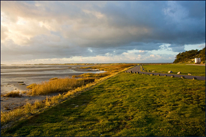 terschelling 1 (3)