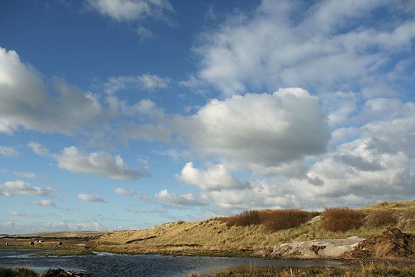 terschelling 1 (6)