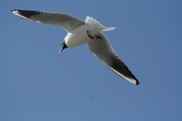 terschelling 1 (14)