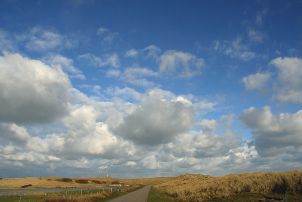 terschelling 1 (20)