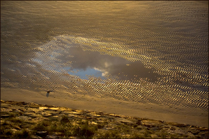 terschelling 1 (24)