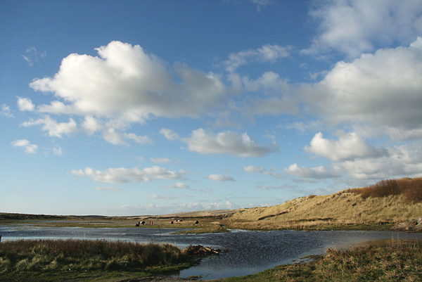 terschelling 1 (27)