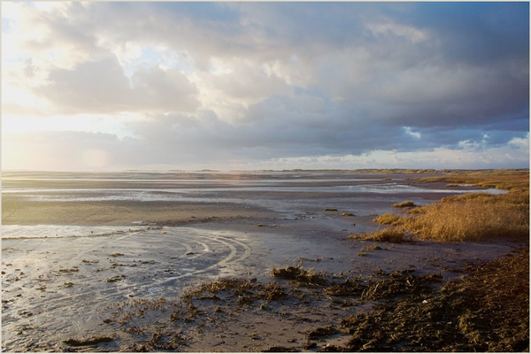 terschelling 1 (47)