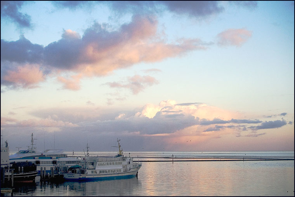 terschelling 1 (52)