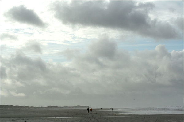 terschelling 1 (2)