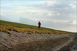 terschelling 1 (5)