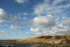 terschelling 1 (6)