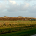 terschelling 1 (9)