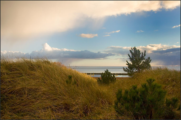 terschelling 1 (17)