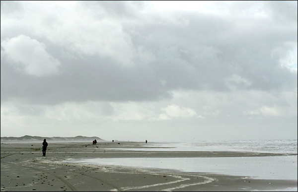 terschelling 1 (19)