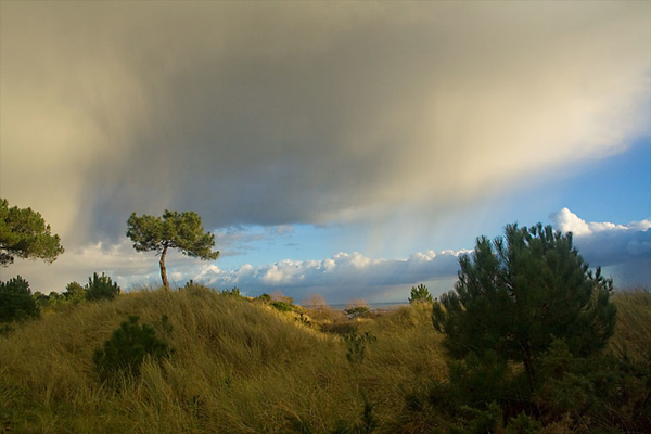 terschelling 1 (21)