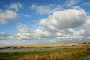 terschelling 1 (23)