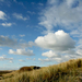 terschelling 1 (30)