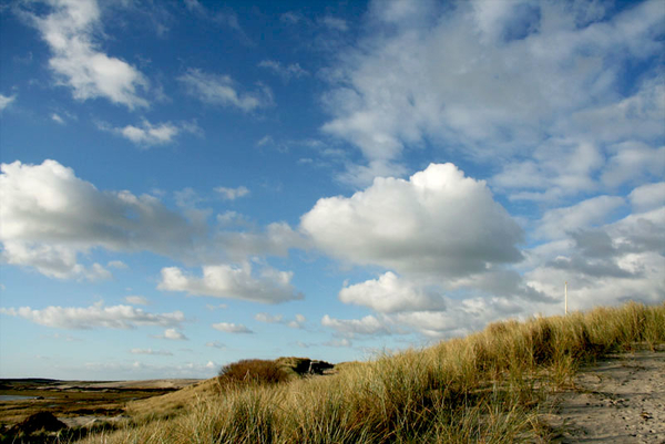 terschelling 1 (30)