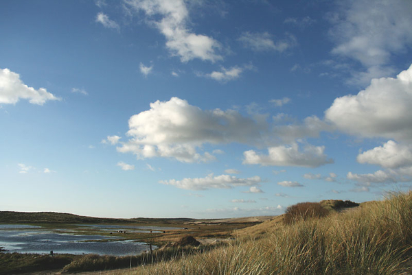 terschelling 1 (32)