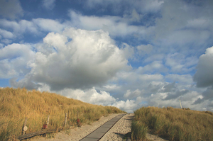 terschelling 1 (33)