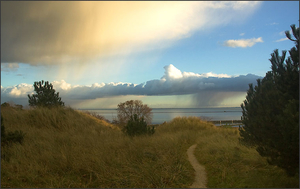 terschelling 1 (41)