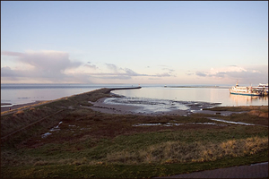 terschelling 1 (50)