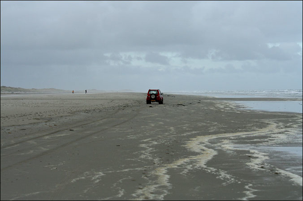 terschelling 1