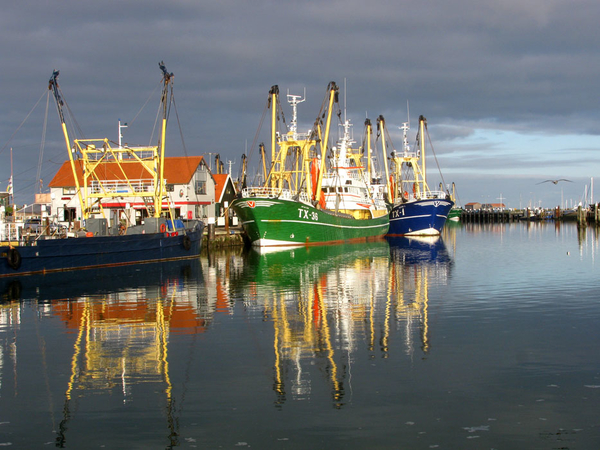 texel 002 (3)