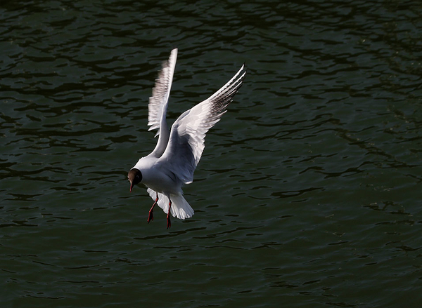 texel 002 (5)