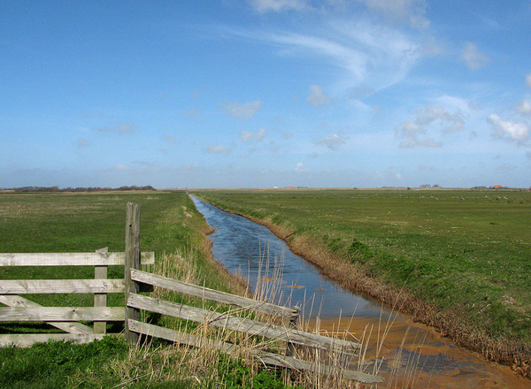 texel 002 (8)