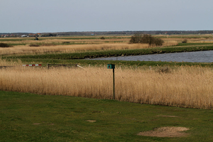 texel 002 (10)