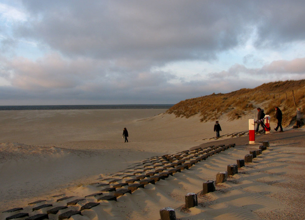 texel 002 (14)