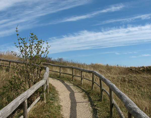 texel 002 (15)