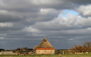 texel 002 (28)