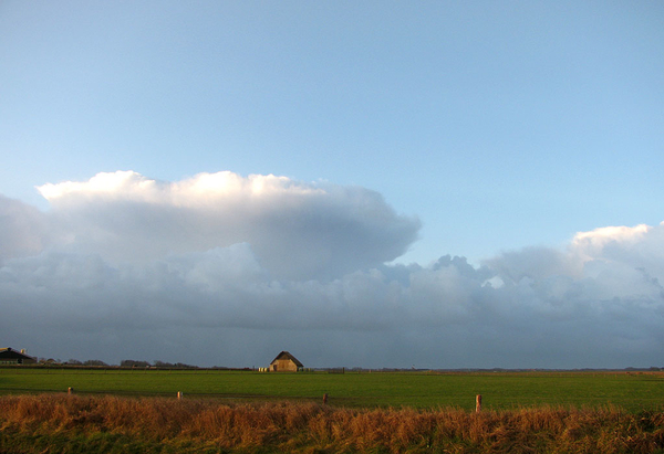 texel 002 (31)