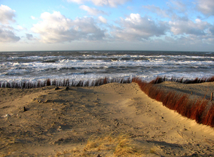 texel 002 (32)